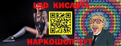 стафф Ставрополь