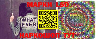 стафф Ставрополь