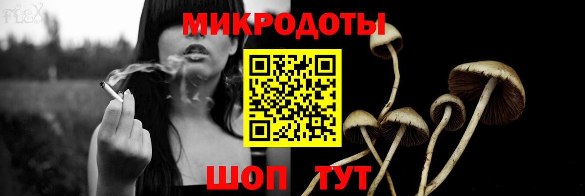 Серпухов  Галлюциногенные грибы Psilocybe  Вход с VPN 